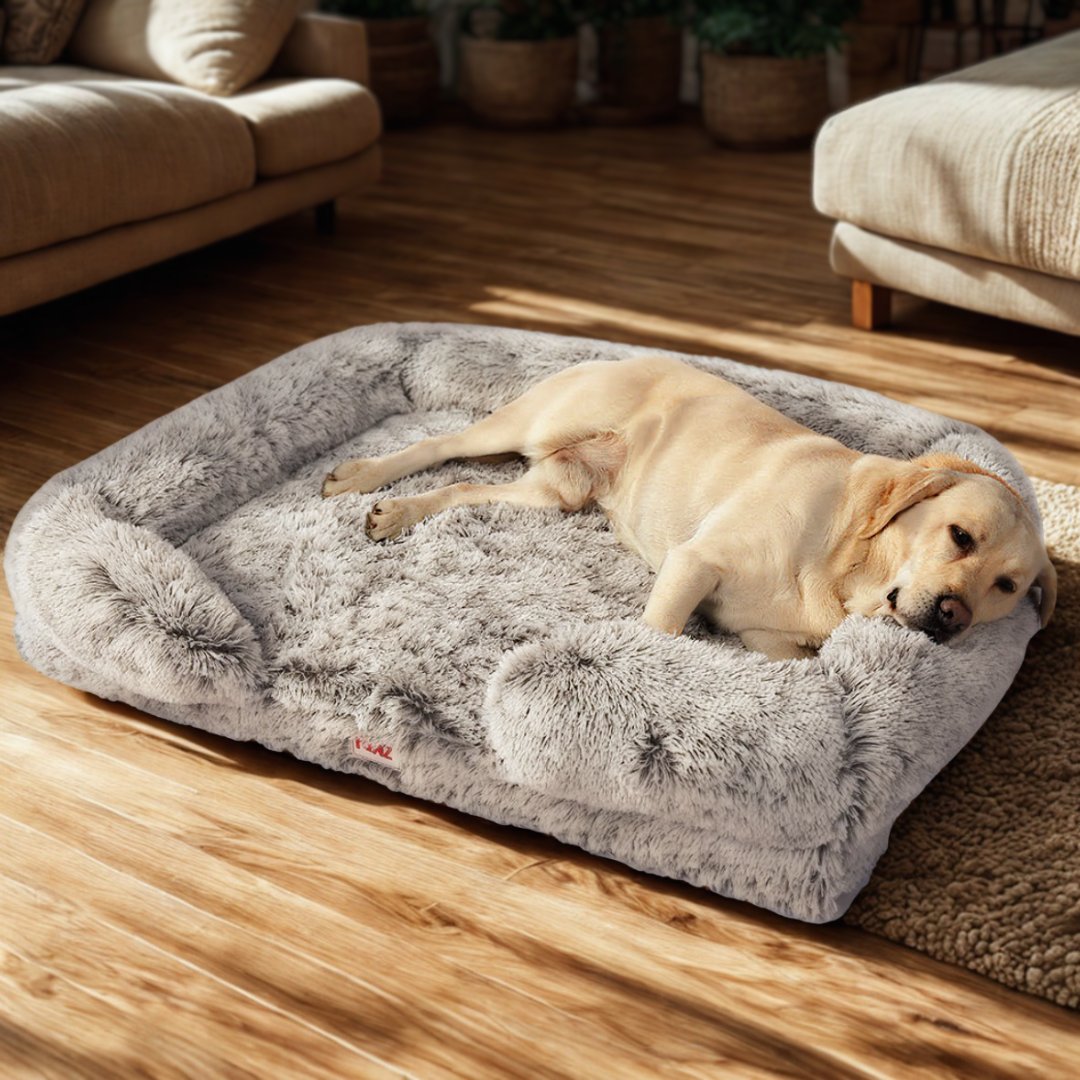Luxury Pet Sofas & Loungers