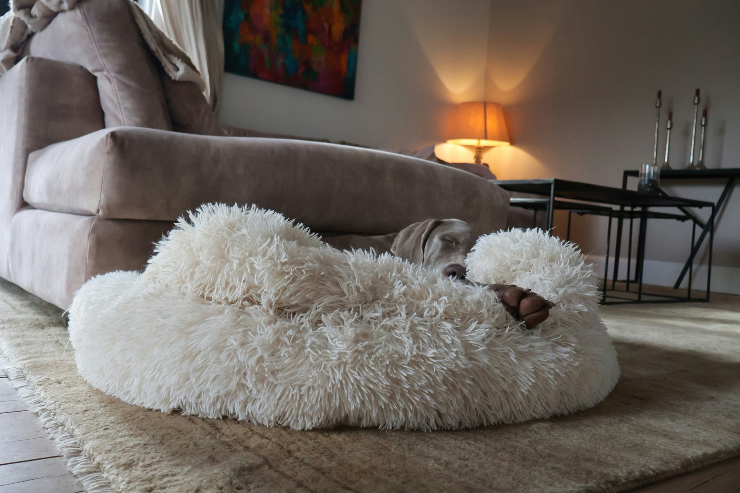 Dog peacefully sleeping in plush fluffy bed in warm living room – premium comfort from Pawz Off