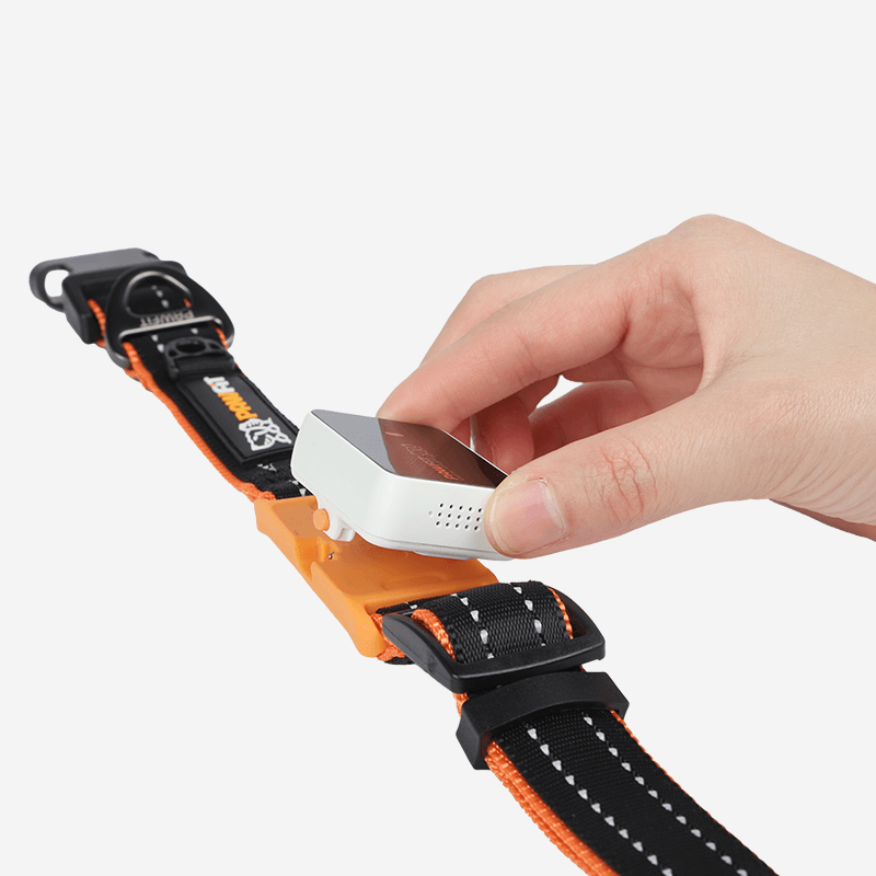 Secure anti-drop buckle system on the PawFit 3 Collar