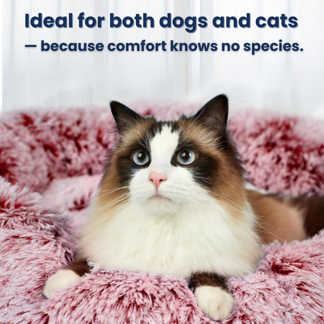 PaWz OrthoNest Donut