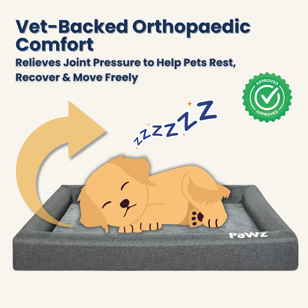 PaWz OrthoRelief Bed
