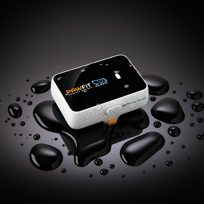 Waterproof PawFit 3 Tracker with IP68 rating – built tough for all weather