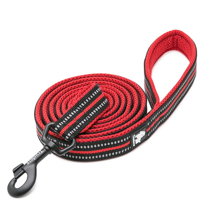 TrueLove SafeStride red reflective dog lead with padded handle and heavy-duty swivel clip, coiled neatly on white background.