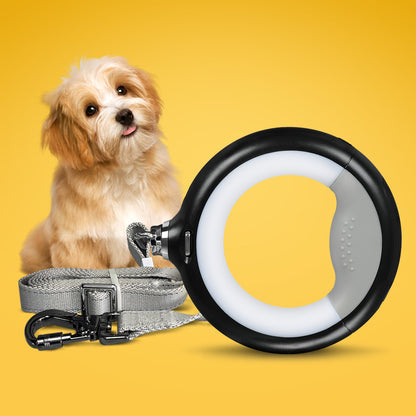 Dog sitting next to PaWz GlowLead LED dog leash in black – rechargeable, light-up leash for night walks