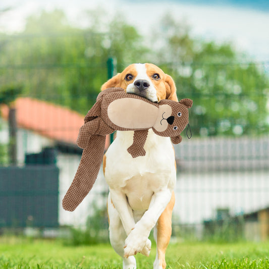 Dog holding plush toy from PaWz PlayPals Set – Plush n Tug in backyard