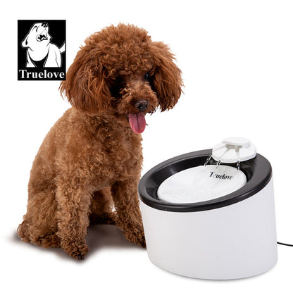 Small poodle drinking from TrueLove WaterFlow automatic pet water fountain