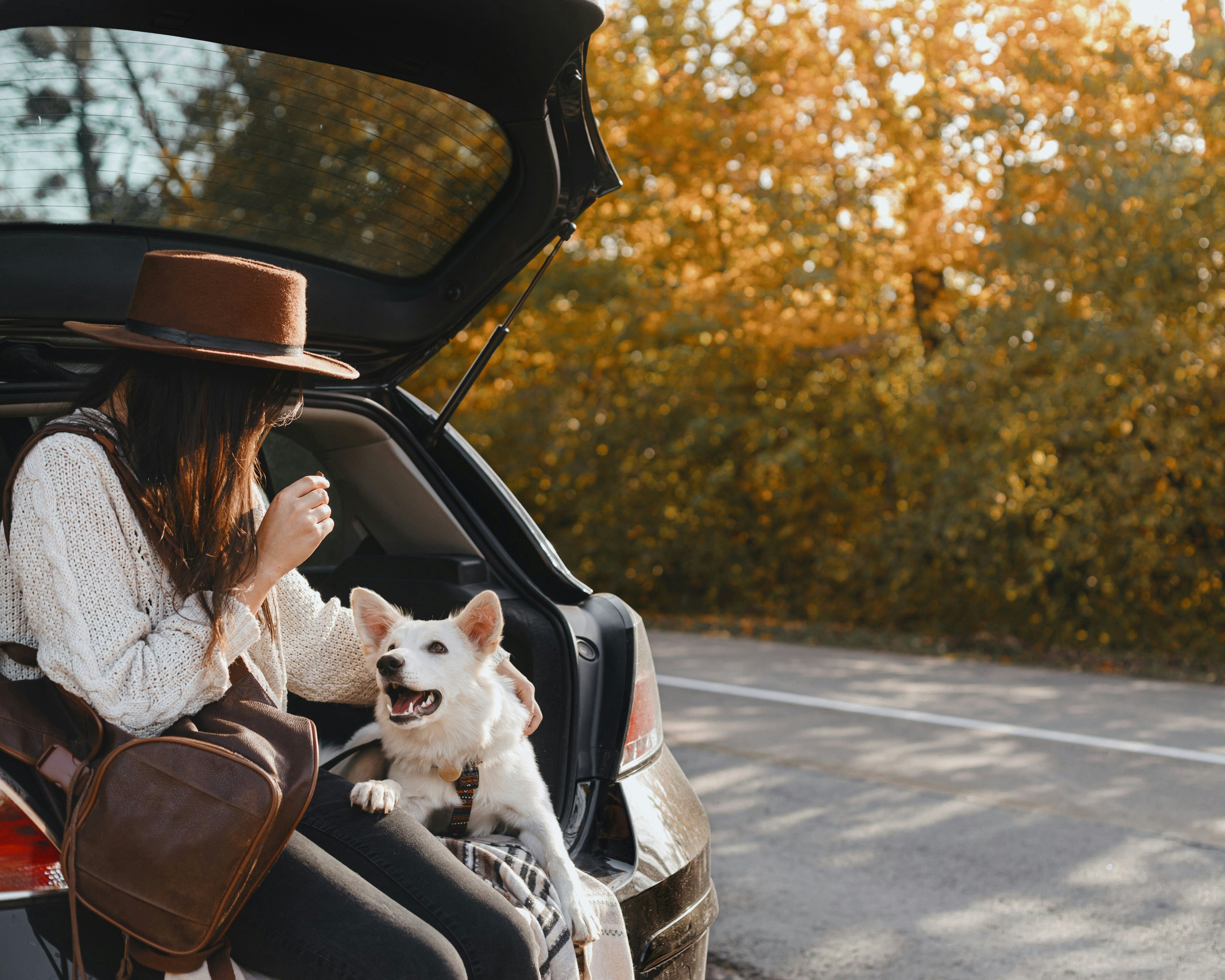Woman sitting with happy white dog in back of car during autumn road trip – Pawz Off mission lifestyle