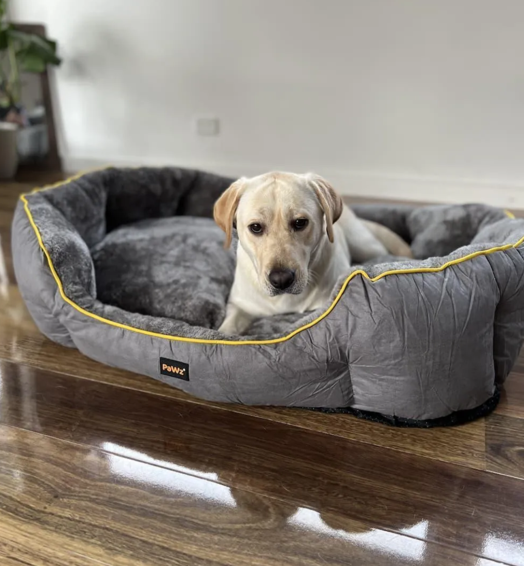 Dog lying on a gray heated pet bed with yellow trim on a wooden floor.