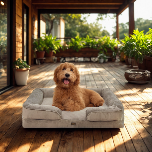 PaWz OrthoCush