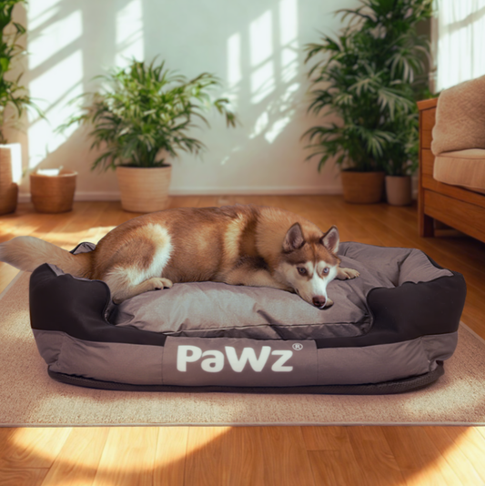 PaWz OrthoDry