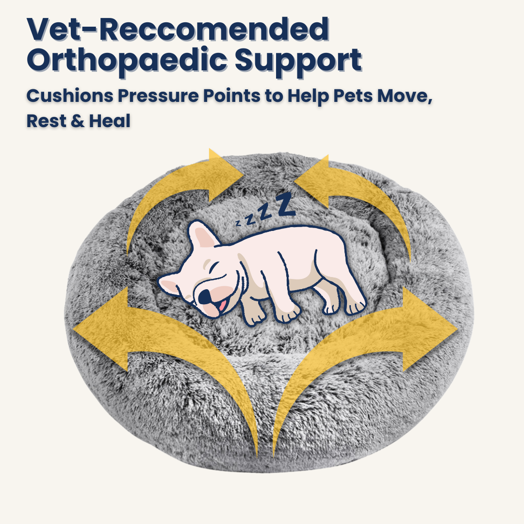 PaWz OrthoNest Donut