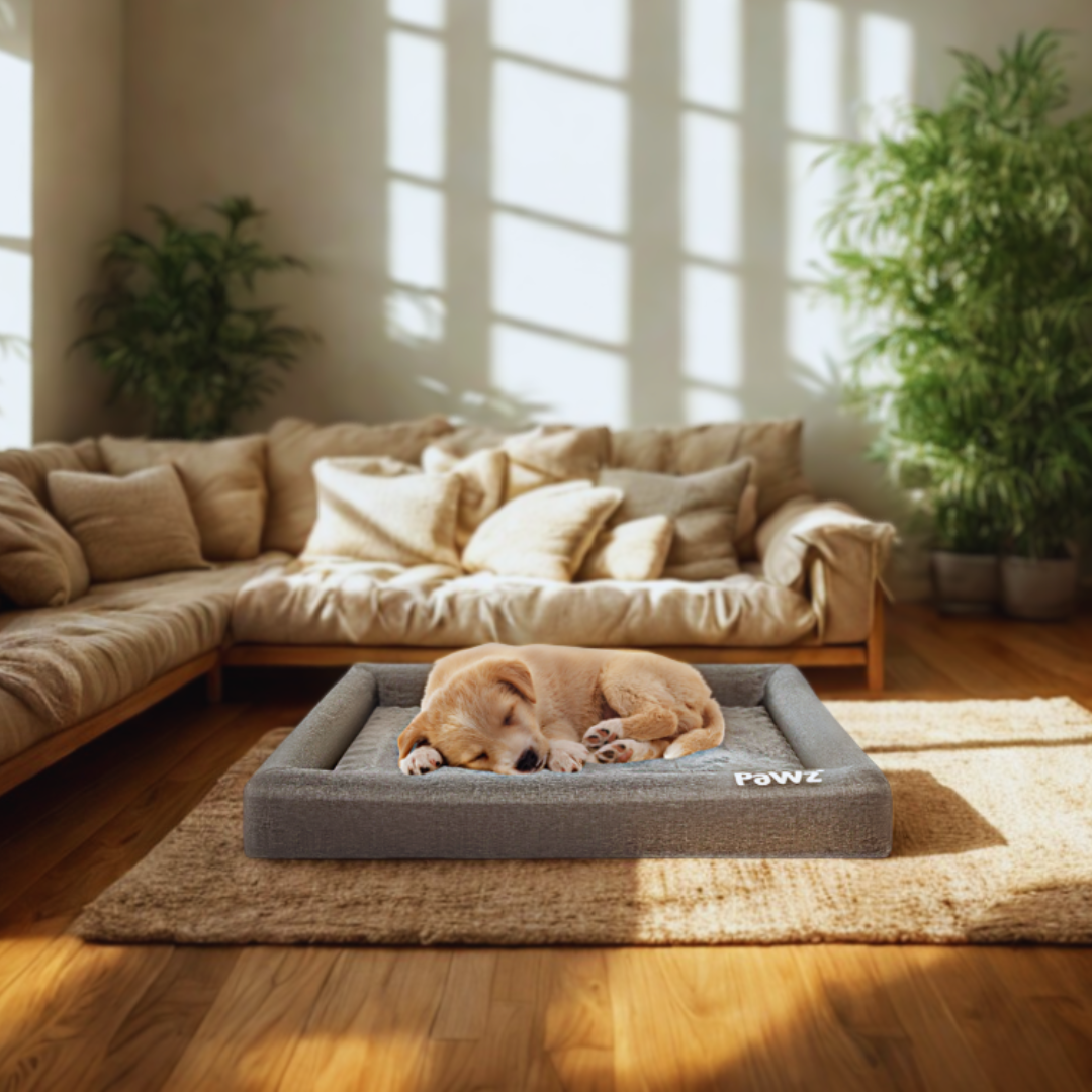 PaWz OrthoRelief Bed